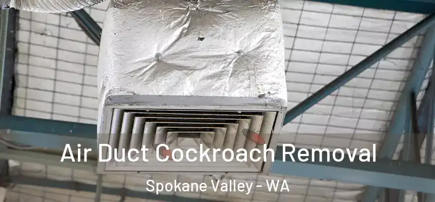 Air Duct Cockroach Removal Spokane Valley - WA