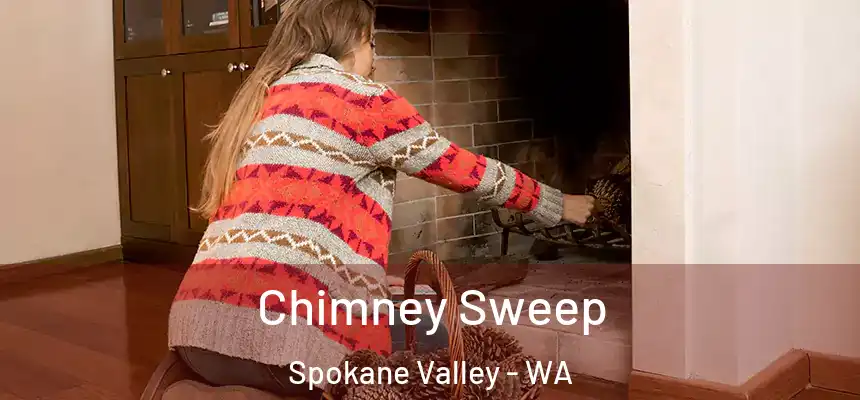  Chimney Sweep Spokane Valley - WA