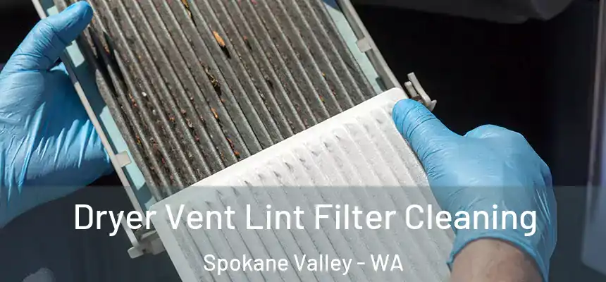 Dryer Vent Lint Filter Cleaning Spokane Valley - WA