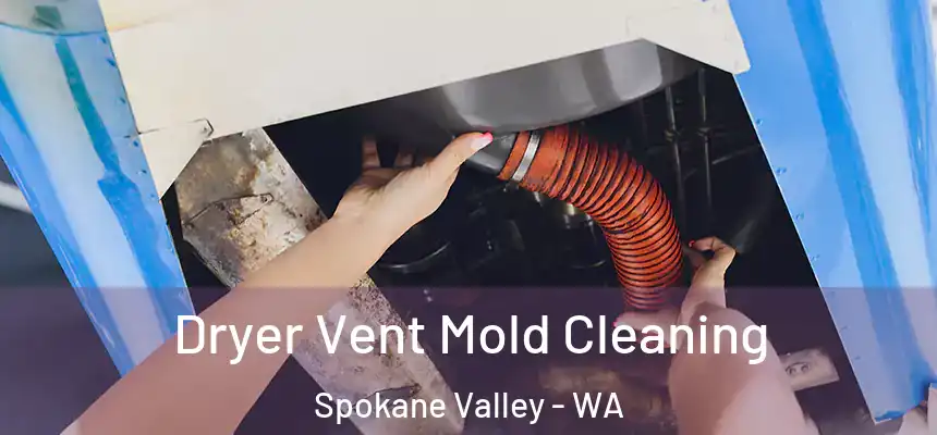 Dryer Vent Mold Cleaning Spokane Valley - WA