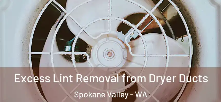 Excess Lint Removal from Dryer Ducts Spokane Valley - WA