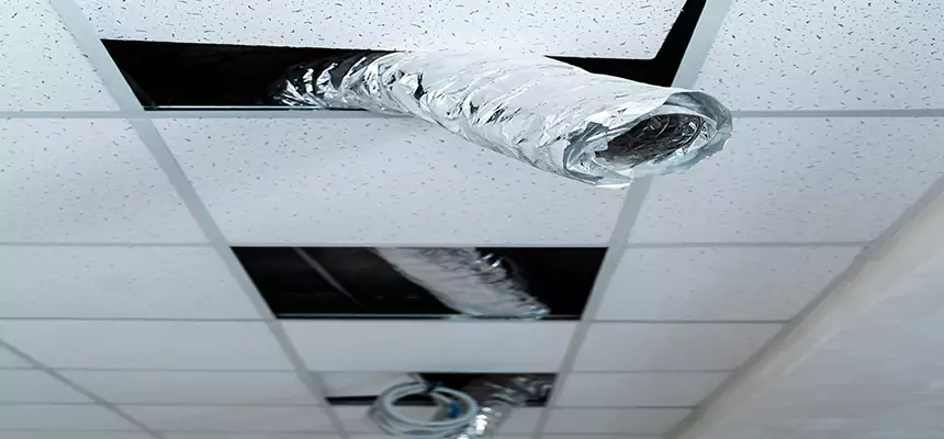 Affordable HVAC Sanitizing After Pest Removal in Spokane Valley