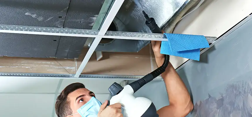 Our Air Duct Rodent Removal Services in Spokane Valley, WA