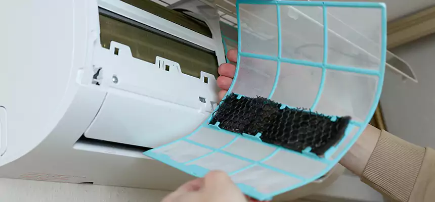 Gentle Ductwork Odor-Control Pet Dander Duct Cleaning in Spokane Valley, WA