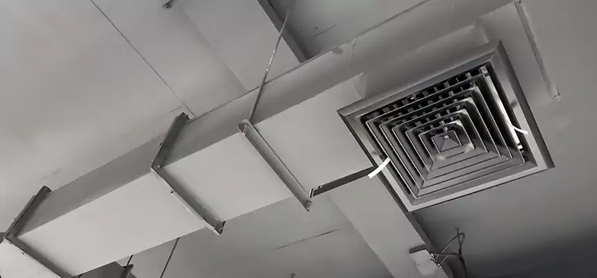 Our Rodent Droppings In Vents Services in Spokane Valley, WA