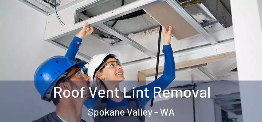 Roof Vent Lint Removal Spokane Valley - WA