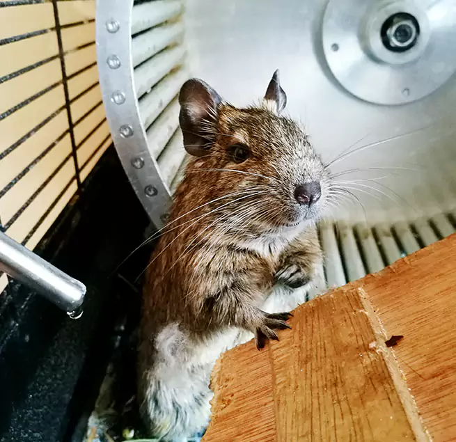 Why Homeowners & Businesses Trust Us Spokane Valley, WA